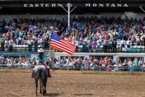 Houston Rodeo