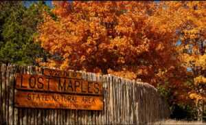 Lost Maples State Park