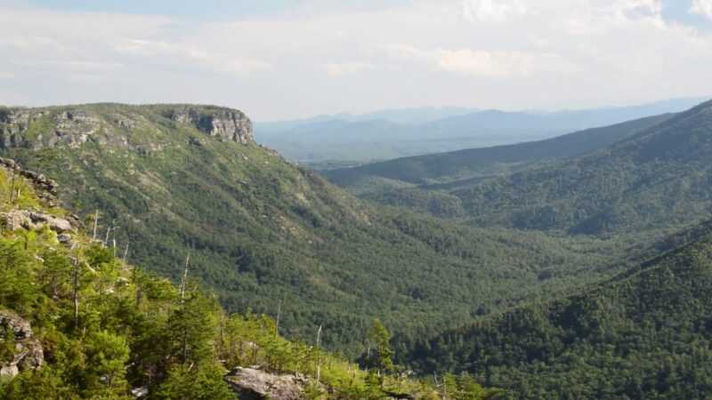 Linville Gorge Wilderness