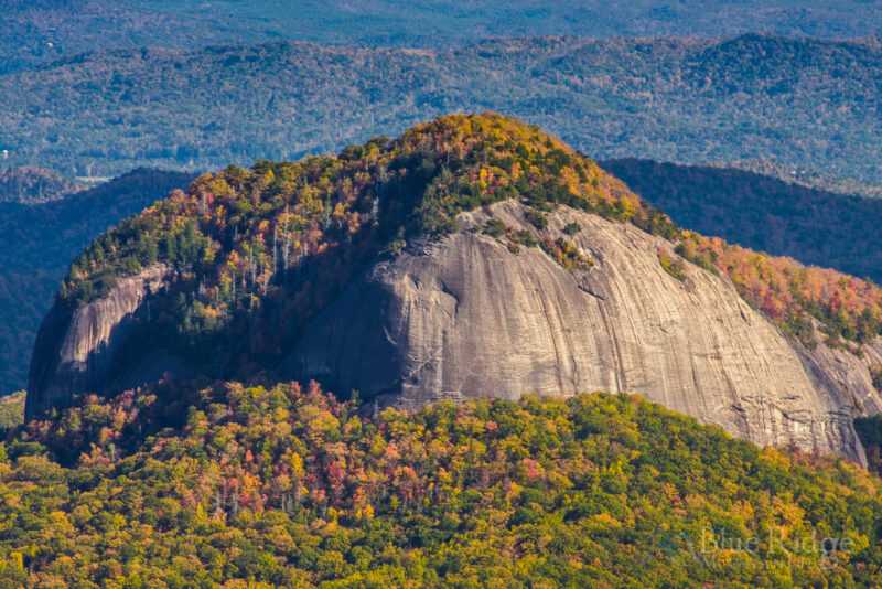 Pisgah National Forest